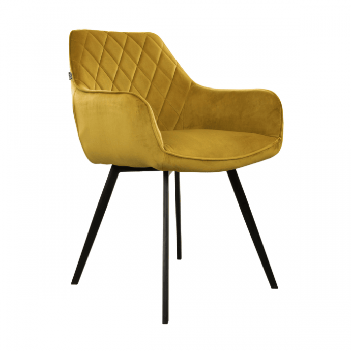 Karl velvet goud